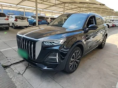 2025 Hongqi HS5 2.0T 4WD Qixiang Pro, фото 2, лот 10416475