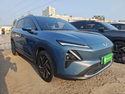 2024 Wuling Motors Wuling Xingguang S 130km Flagship Model, фото 4, лот 10833634