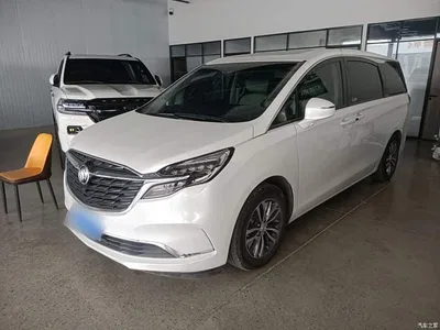 2021 Buick GL8 ES Landlord 653T Comfort, фото 2, лот 10894176