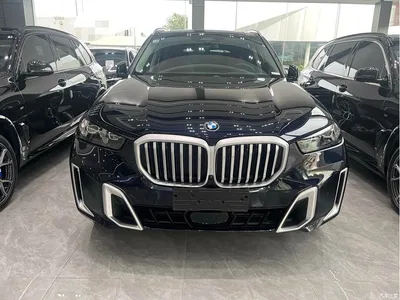 2023 BMW X5 xDrive 30Li Premium M Sport Package, фото 2, лот 10392157