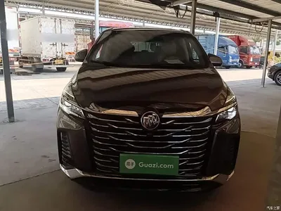 2023 Buick GL8 Facelift Land Business Class Luxury, фото 3, лот 10259927