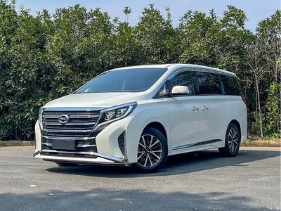 2021 GAC Trumpchi Trumpchi M8 Leading Show Series 390T Premium Edition, фото 1, лот 11223408