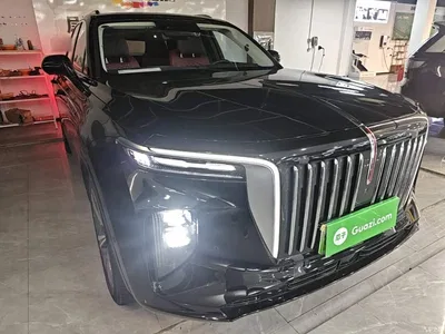 2022 Hongqi E-HS9 690km Qi Xiang Edition (6-seater), фото 4, лот 10415957