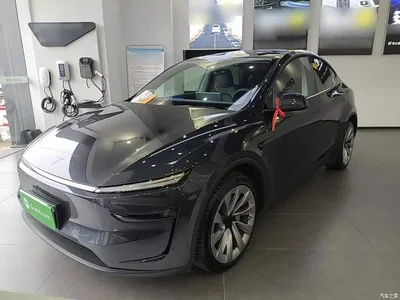 2025 Tesla Model Y Rear-Wheel Drive, фото 1, лот 11211249