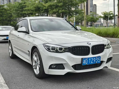 2020 BMW 3 Series GT 320i M Sport Package, фото 3, лот 10473857