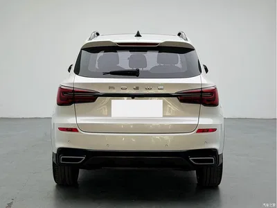 2020 Roewe RX5 New Energy ePLUS Guochao Ronglin Luxury Edition, фото 4, лот 10400501