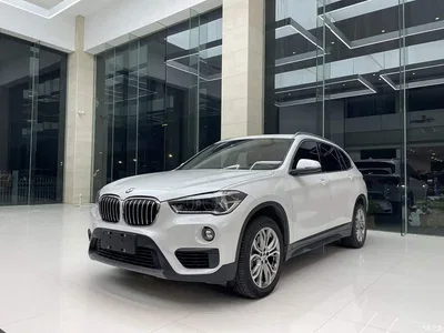 2019 BMW X1 sDrive20Li Leading Model, фото 1, лот 10362557