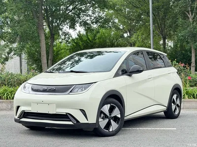 2023 Byd Dolphin, фото 1, лот 10245416
