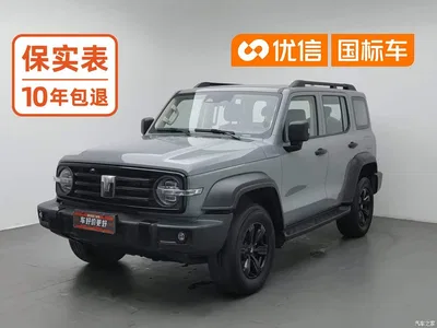 2023 Tank 300 Off-Road Edition 2.0T Challenger, фото 1, лот 10344138