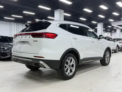 2021 Haval H6 National Trend Edition 1.5GDIT Automatic Champion Edition, фото 4, лот 10282103