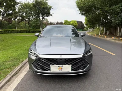 2023 BYD Qin PLUS Champion Edition DM-i 120KM Excellence, фото 2, лот 10363672
