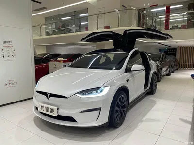 2023 Tesla Model X Dual Motor All-Wheel Drive Edition, фото 2, лот 10351577