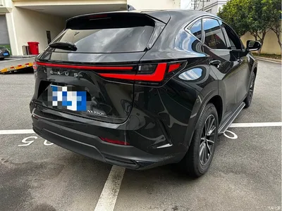 2023 Lexus NX 350h FWD Dynamic Edition, фото 3, лот 10311808
