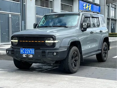 2021 Tank 300 Off-road Version 2.0T Conqueror, фото 1, лот 10344584