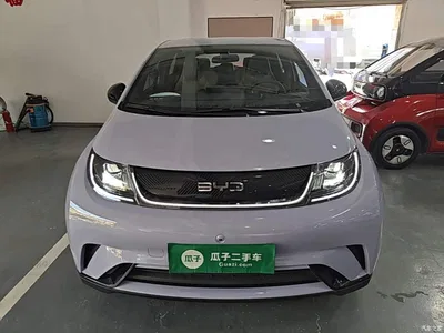 2024 BYD Dolphin Glory Edition 420km Freedom Edition, фото 3, лот 10263962