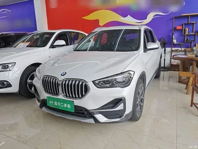 2021 BMW X1 xDrive25Li Exclusive, фото 2, лот 10671854
