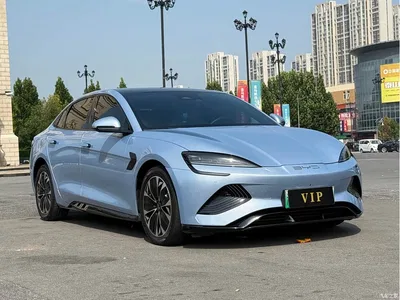 2022 BYD Seal 550km Standard Range RWD Elite, фото 3, лот 10252113