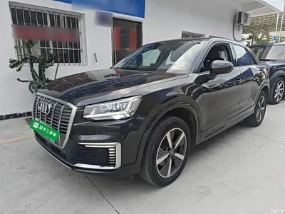 2019 Audi Q2L e-tron Pure Electric Smart Enjoyment, фото 2, лот 10473140