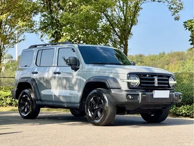 2021 Tank 300 Off-road Version 2.0T Conqueror, фото 3, лот 10398066