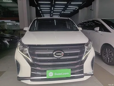 2021 GAC Trumpchi Trumpchi M8 Leading Show Series 390T Premium Edition, фото 3, лот 10422879