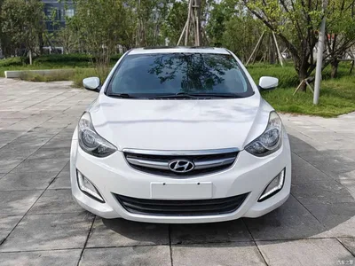 2015 Hyundai Langdong 1.6L Auto Premium, фото 2, лот 11583329