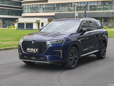 2020 Venucia Star 260T Automatic 48V Mild Hybrid Turbo Starlight Edition, фото 1, лот 11170688