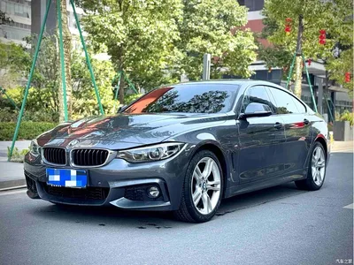 2017 BMW 4 Series 425i Gran Coupe Leading M Sport Package, фото 1, лот 10468325