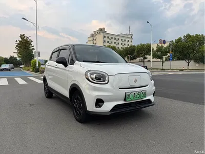 2023 Leapmotor T03 310 Light Edition, фото 3, лот 10443942
