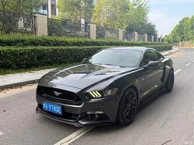 2017 Ford Mustang 2.3T Sport Edition, фото 1, лот 10280403