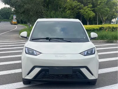 2024 BYD Seagull Glory Edition 305km Vitality Edition, фото 2, лот 10253600