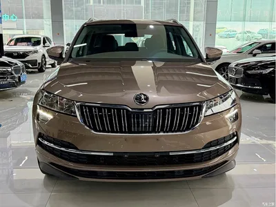 2022 Škoda Karoq TSI280 Luxury Edition, фото 2, лот 10348339