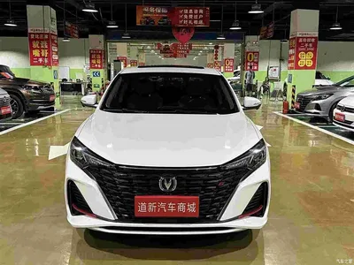 2023 Changan Eado Enjoy Edition PLUS Blue Whale NE 1.4T GDI DCT Premium Edition, фото 2, лот 10249848