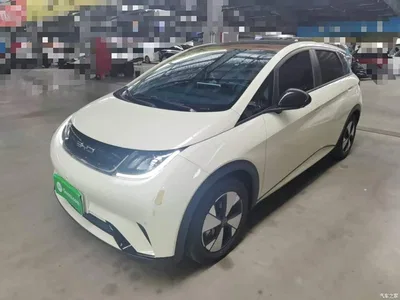 2023 BYD Dolphin 420km Fashion Edition, фото 1, лот 11179063