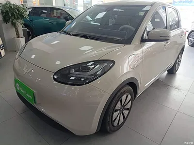 2023 Wuling Motors Wuling Bingo Model 333km Joy+ Version, фото 1, лот 10371122