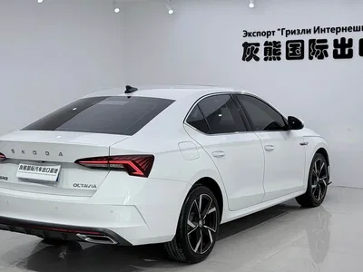2023 Škoda Octavia Facelift PRO TSI280 Luxury Edition, фото 4, лот 10348754