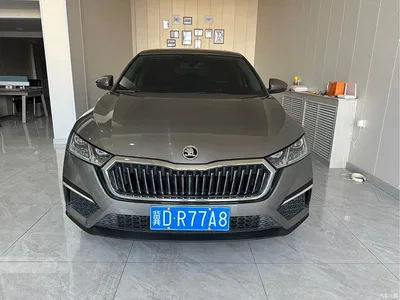 2022 Škoda Octavia PRO TSI280 Premium Edition, фото 2, лот 10348343