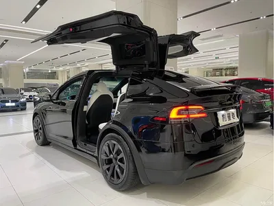 2023 Tesla Model X Dual Motor All-Wheel Drive Edition, фото 4, лот 10351994