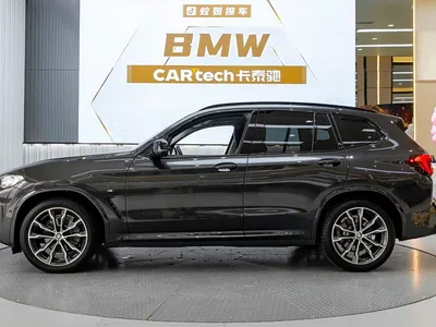 2023 BMW X3 xDrive30i Leading M Night Package, фото 3, лот 10418797