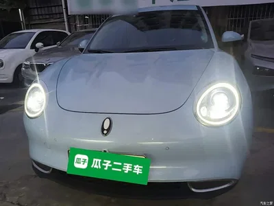 2021 Ora Good Cat 400km Standard Range Athena Edition (LFP), фото 3, лот 10694103