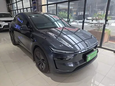 2025 Tesla Model Y Model Long Range All-Wheel Drive Launch Edition, фото 4, лот 10381648