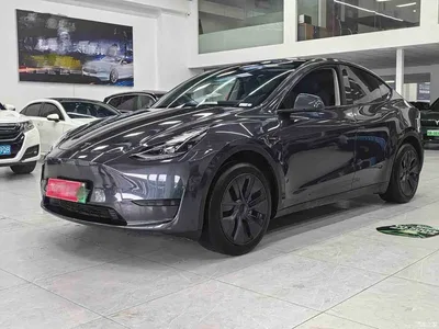 2024 Tesla Model Y Rear-Wheel Drive Version, фото 1, лот 10764834