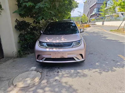 2021 BYD Dolphin Model 405km Fashion Edition, фото 2, лот 11567798