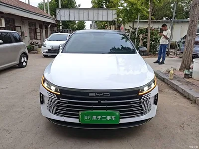 2023 BYD Destroyer 05 Champion Edition DM-i 55KM Luxury, фото 3, лот 10385468