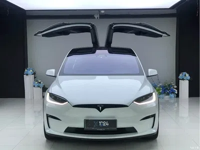 2023 Tesla Model X Tri-motor AWD Plaid, фото 2, лот 11316940