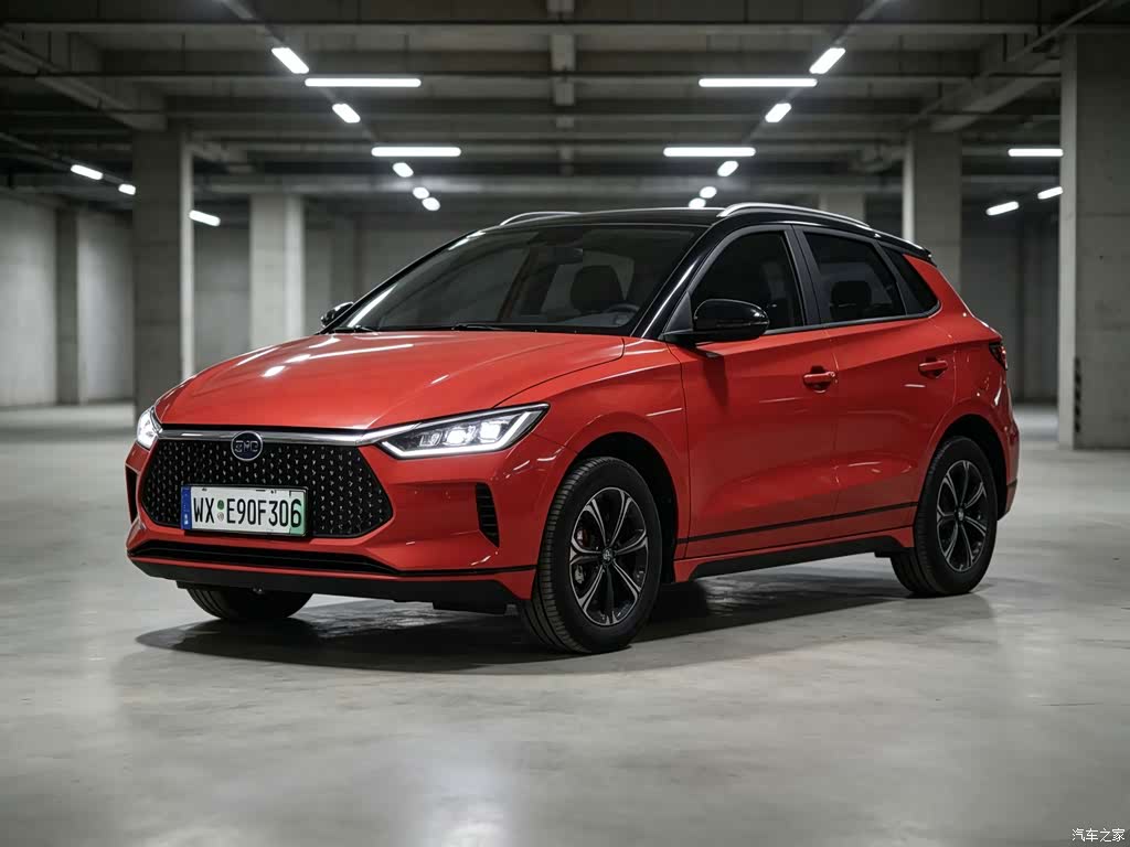 2019 BYD e2 Long Range Edition Create·Premium, фото 1, лот 11134645