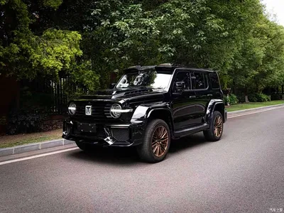 2021 Tank 300 Off-road Version 2.0T Conqueror, фото 1, лот 10344466