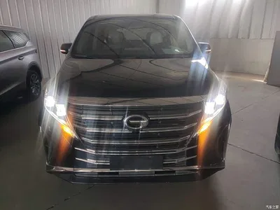 2021 GAC Trumpchi Trumpchi M8 Leading Show Series 390T Premium Edition, фото 3, лот 10422691