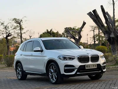 2019 BMW X3 xDrive28i Luxury Package, фото 3, лот 10461201