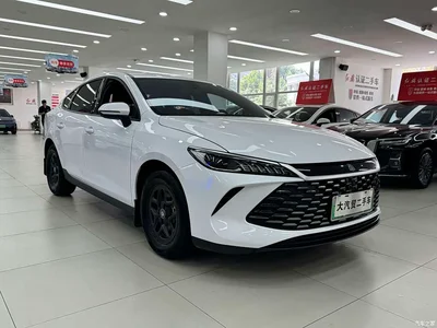 2024 BYD Qin PLUS Glory Edition DM-i 55KM Leading, фото 3, лот 10364297