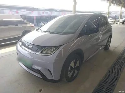 2023 BYD Dolphin 420km Fashion Edition, фото 1, лот 11089632